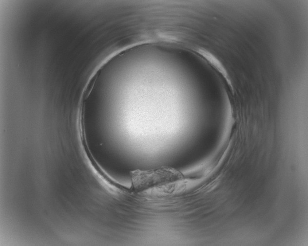 X0000068811391200605081108