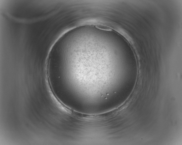 X0000068811392200605081108