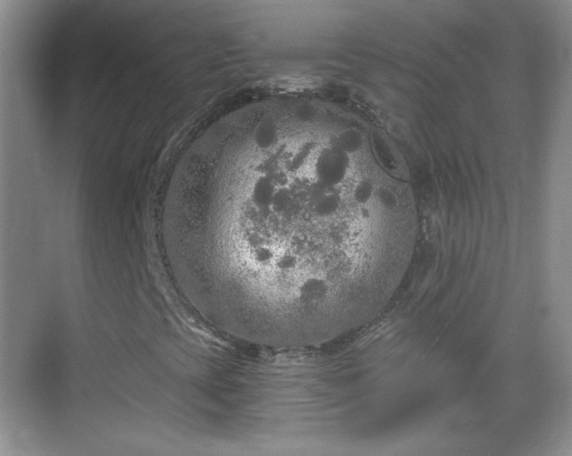 X0000068811393200605081107