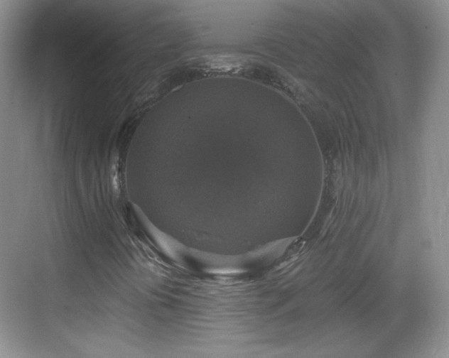 X0000068811394200605081107