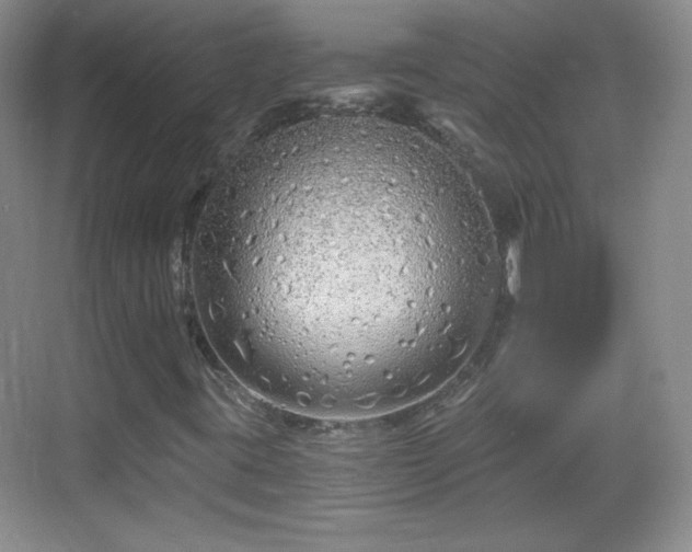 X0000068811395200605081107