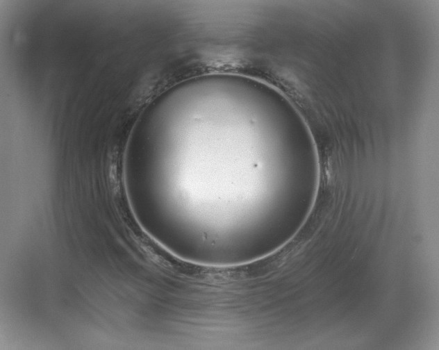 X0000068811396200605081107