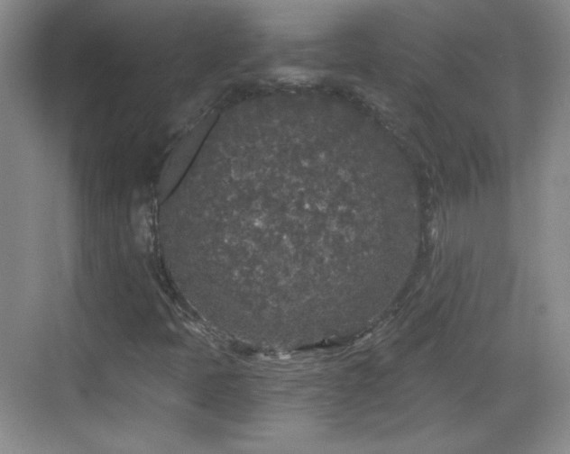 X0000068811397200605081107