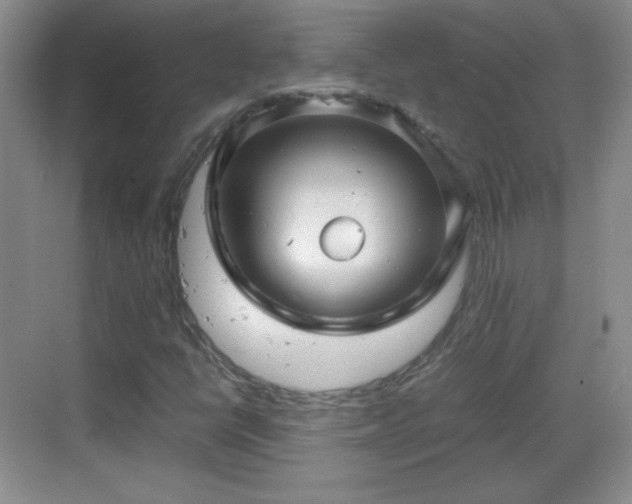 X0000068811398200605081107