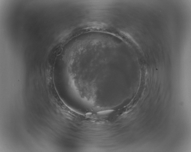 X0000068811399200605081107