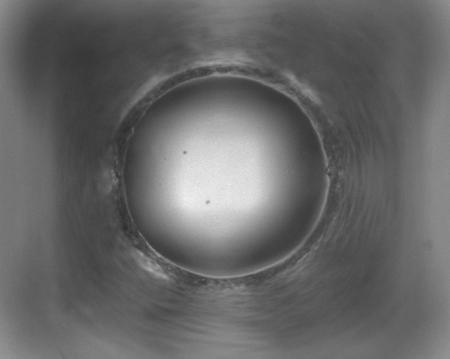 X0000068811400200605081107