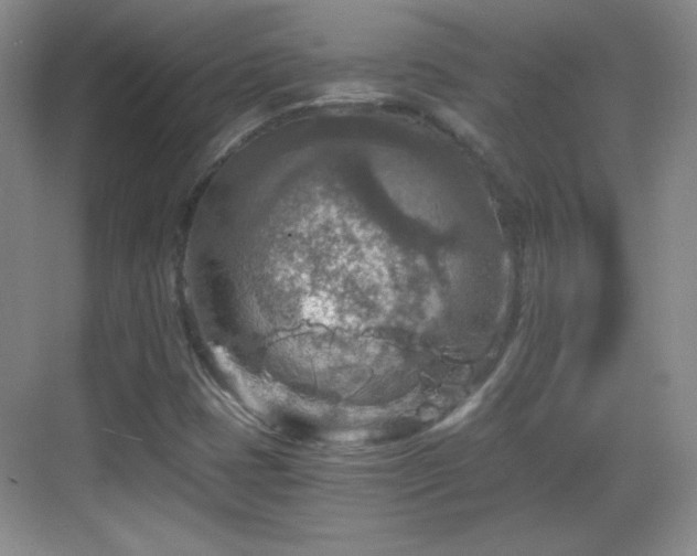 X0000068811401200605081107