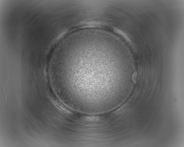 X0000068811403200605081107