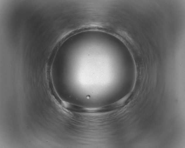 X0000068811404200605081107