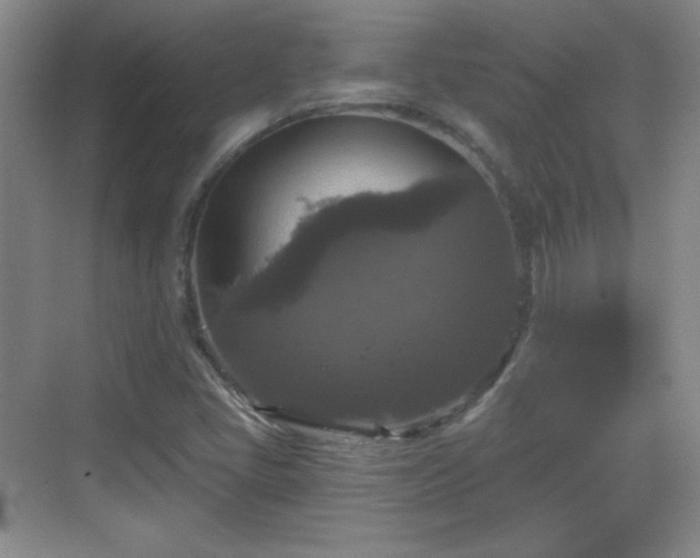 X0000068811405200605081107