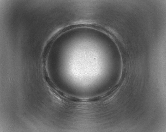 X0000068811406200605081107