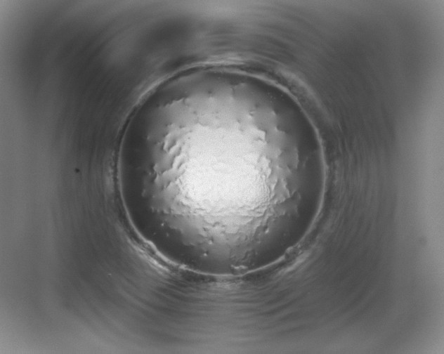 X0000068811409200605081107