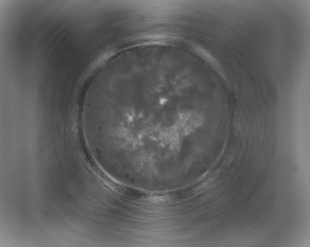 X0000068811411200605081107