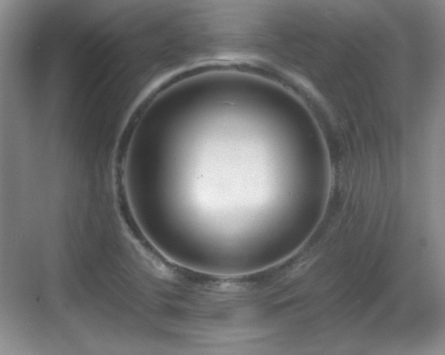 X0000068811412200605081107