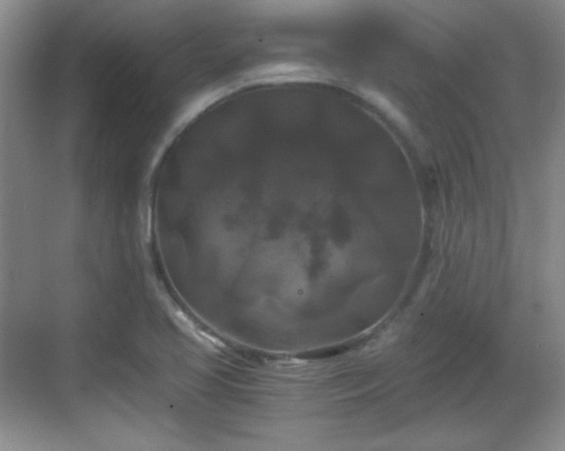 X0000068811413200605081107