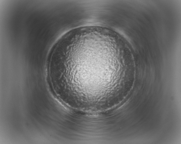 X0000068811415200605081108