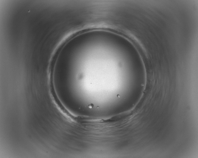 X0000068811416200605081108