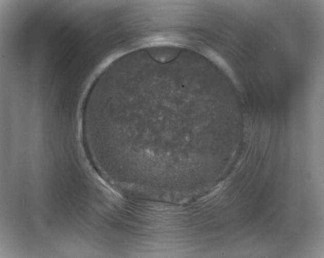 X0000068811419200605081108