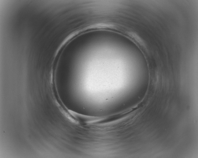 X0000068811420200605081108