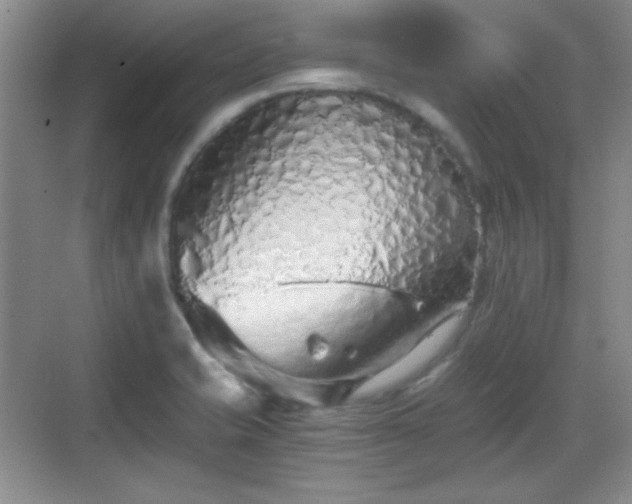 X0000068811421200605081108