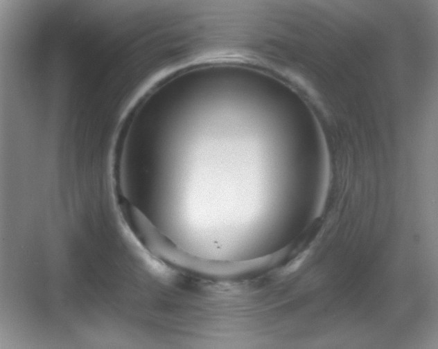 X0000068811422200605081108