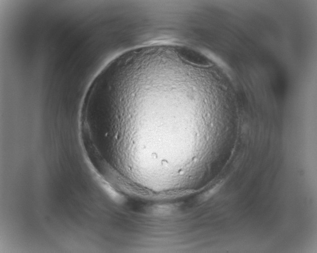 X0000068811423200605081108