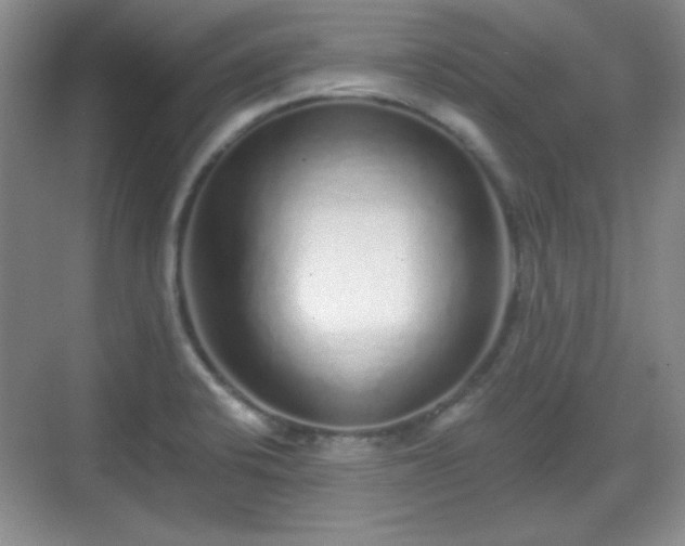 X0000068811424200605081108