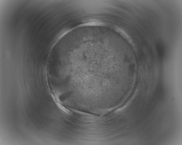 X0000068811425200605081108