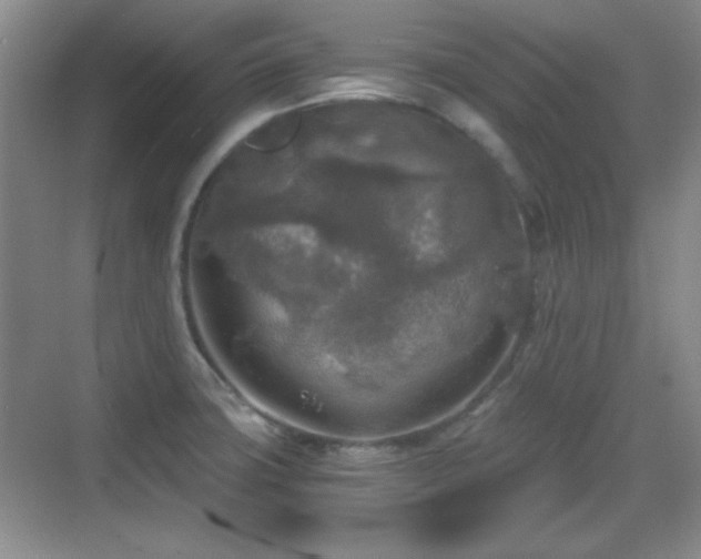 X0000068811427200605081108