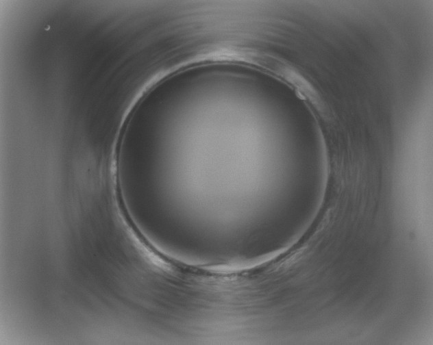 X0000068811428200605081108