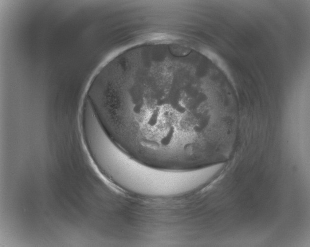 X0000068811429200605081108