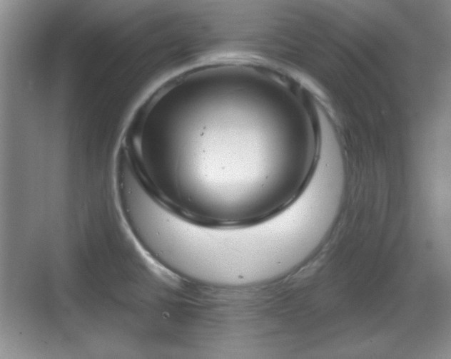 X0000068811430200605081108