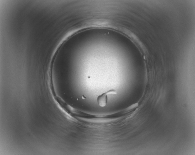 X0000068811432200605081108