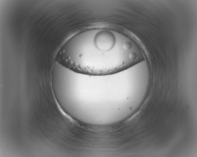 X0000068811433200605081108