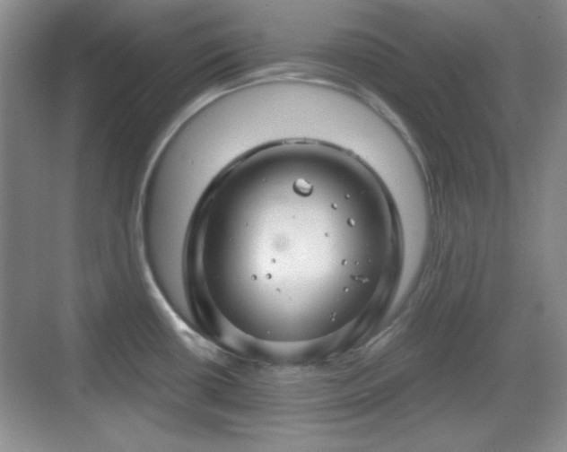 X0000068811434200605081108