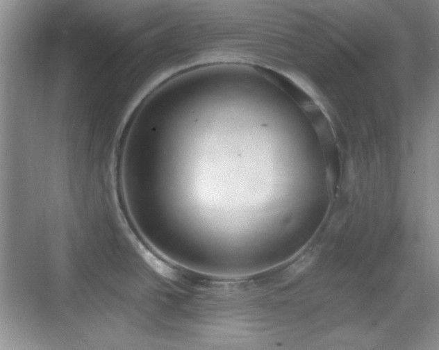 X0000068811438200605081108