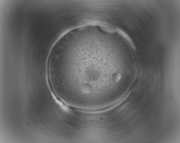 X0000068811439200605081108