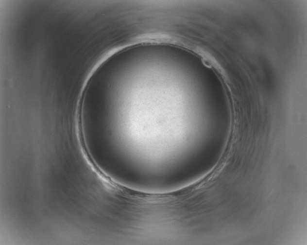 X0000068811440200605081108