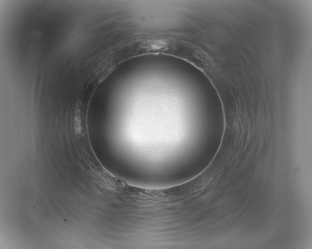 X0000068811442200605081107