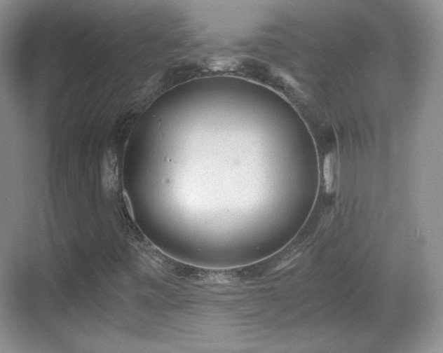 X0000068811443200605081107