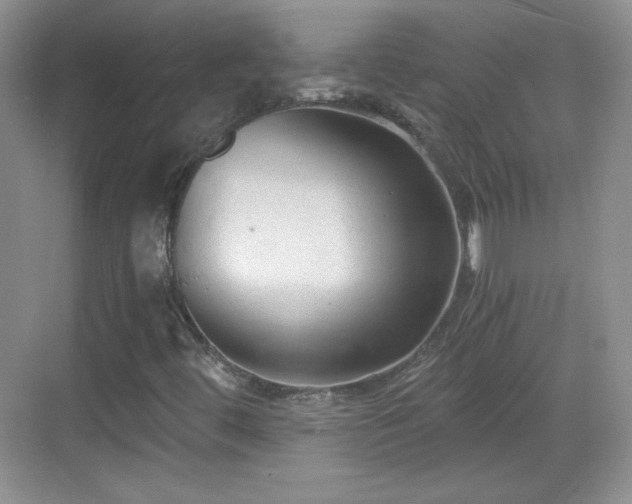 X0000068811444200605081107