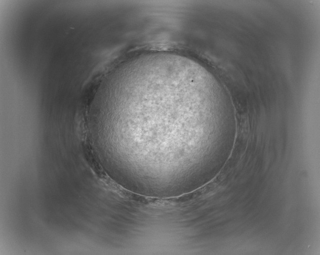 X0000068811446200605081107