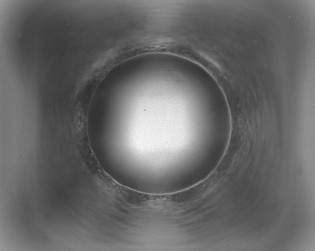 X0000068811447200605081107