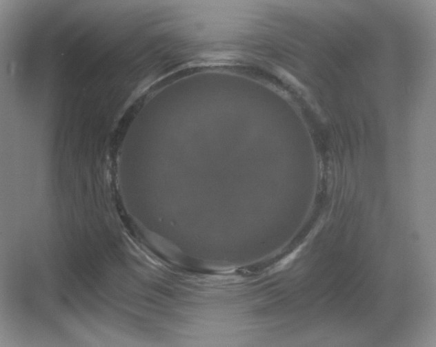 X0000068811449200605081107