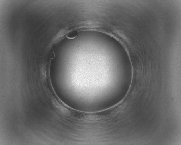 X0000068811451200605081107