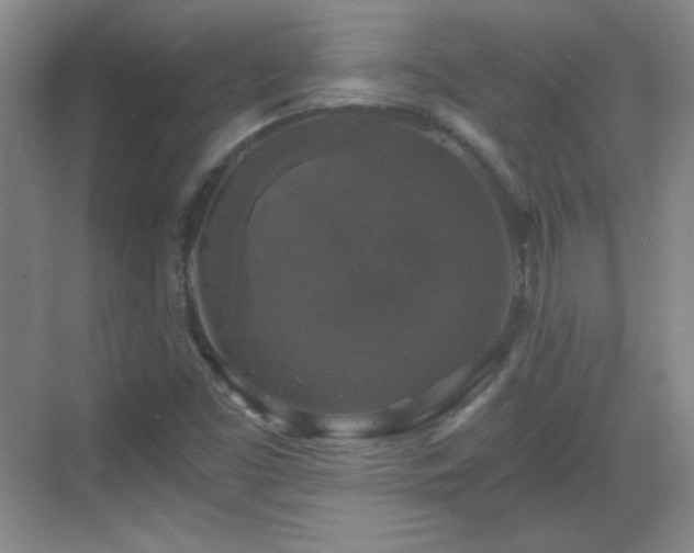 X0000068811453200605081107