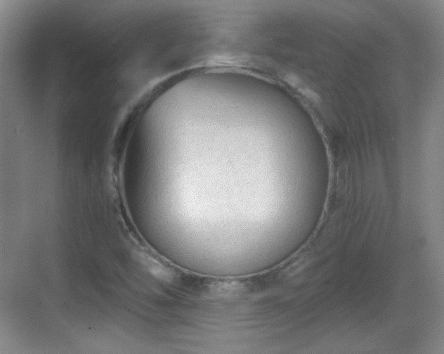 X0000068811454200605081107