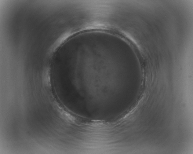 X0000068811455200605081107