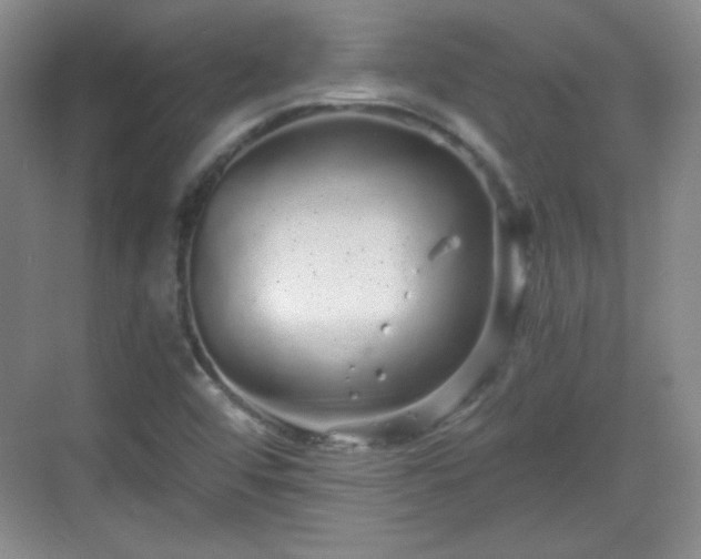 X0000068811456200605081107