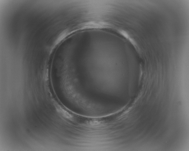 X0000068811459200605081107